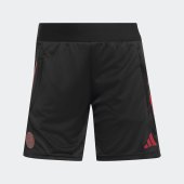 Dámské šortky adidas FCB EU TR SHO W