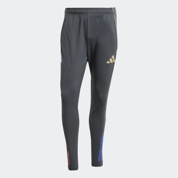 Pánské tepláky adidas OL TR PNT - foto 0
