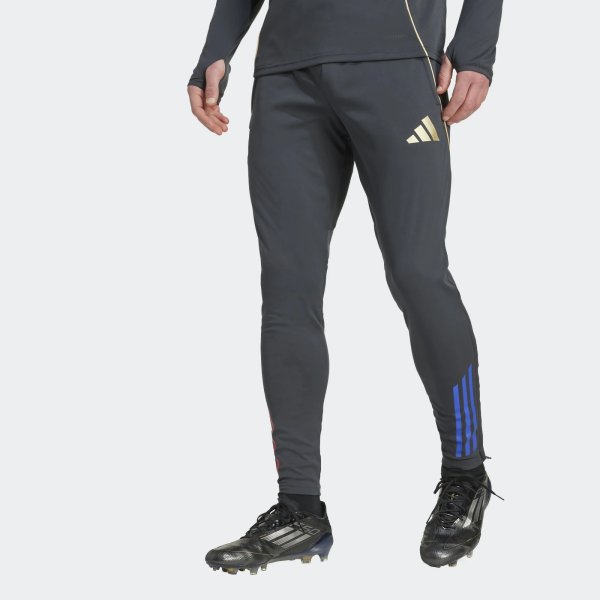 Pánské tepláky adidas OL TR PNT - foto 1