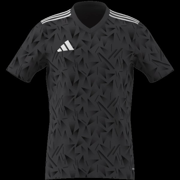 Pánský dres adidas T ICON25 JSY M - foto 9