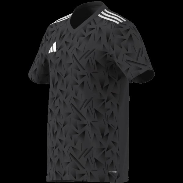 Pánský dres adidas T ICON25 JSY M - foto 16