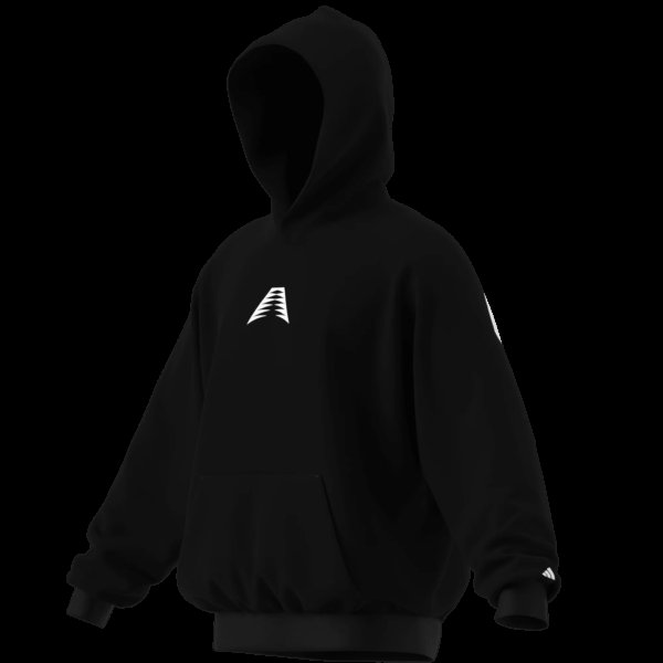 Pánská mikina adidas ANTED BT HOODY - foto 15