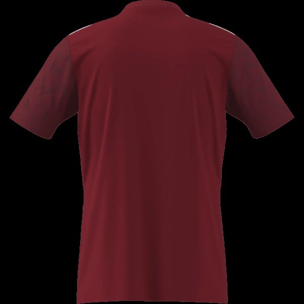 Pánský dres adidas T ICON25 JSY M - foto 13