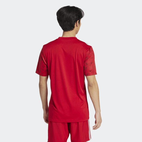 Pánský dres adidas T ICON25 JSY M - foto 4