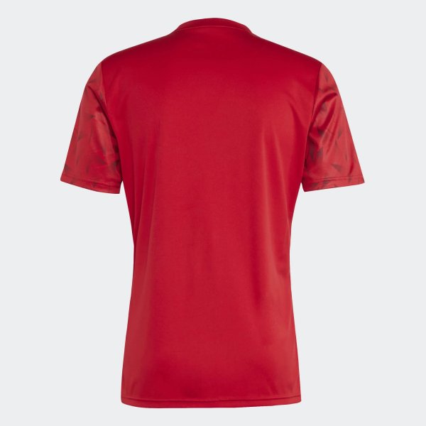 Pánský dres adidas T ICON25 JSY M - foto 2