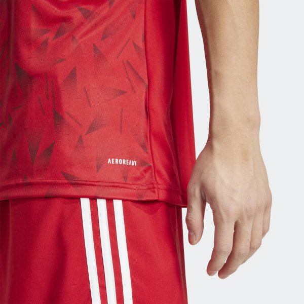 Pánský dres adidas T ICON25 JSY M - foto 7