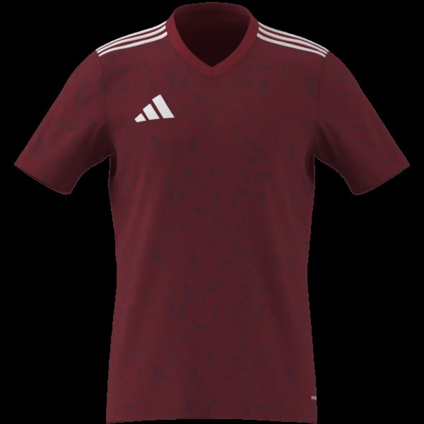 Pánský dres adidas T ICON25 JSY M - foto 9