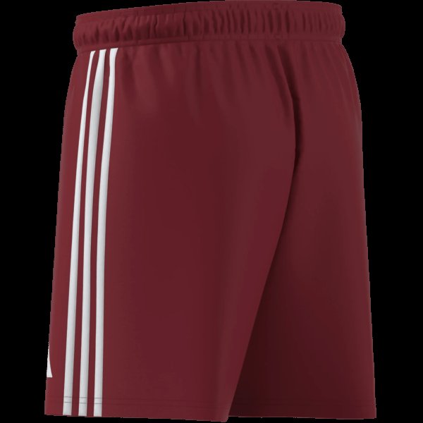 Pánské šortky adidas TASTIGO25 SHO M - foto 14