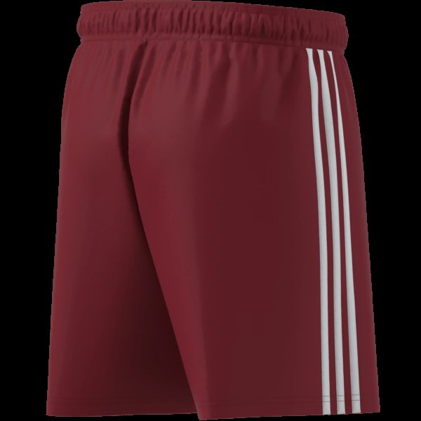 Pánské šortky adidas TASTIGO25 SHO M - foto 12