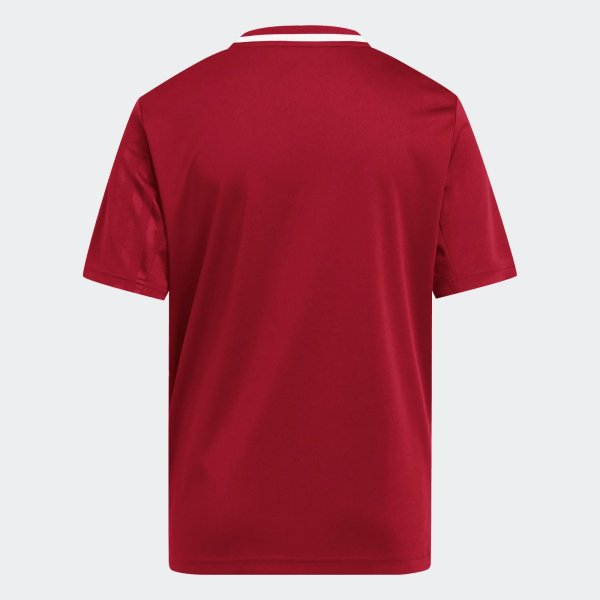 Dětský dres adidas CAMPEON25 JSY Y - foto 2