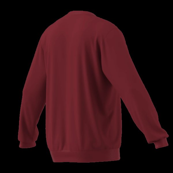 Pánská mikina adidas ENT26 SW TOP - foto 10