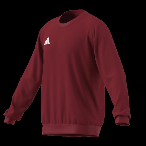 Pánská mikina adidas ENT26 SW TOP - foto 14