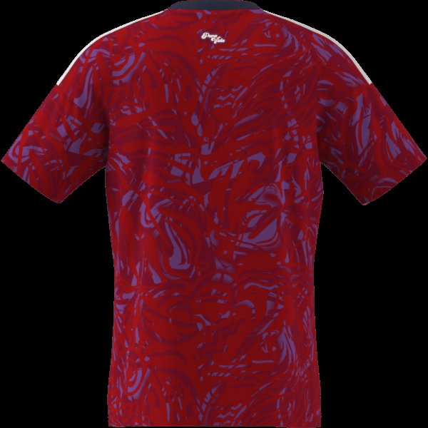 Pánský dres adidas FCRF H JSY - foto 11