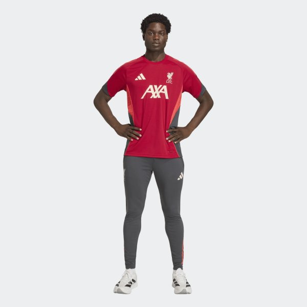 Pánské tepláky adidas LFC TR PNT - foto 4