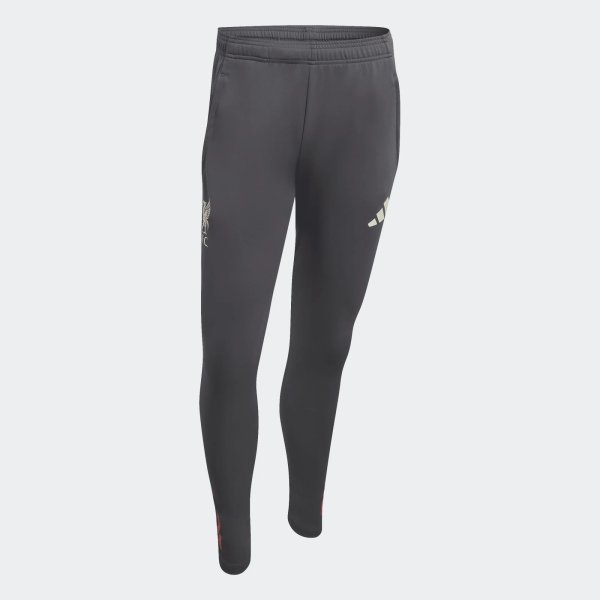 Pánské tepláky adidas LFC TR PNT - foto 0