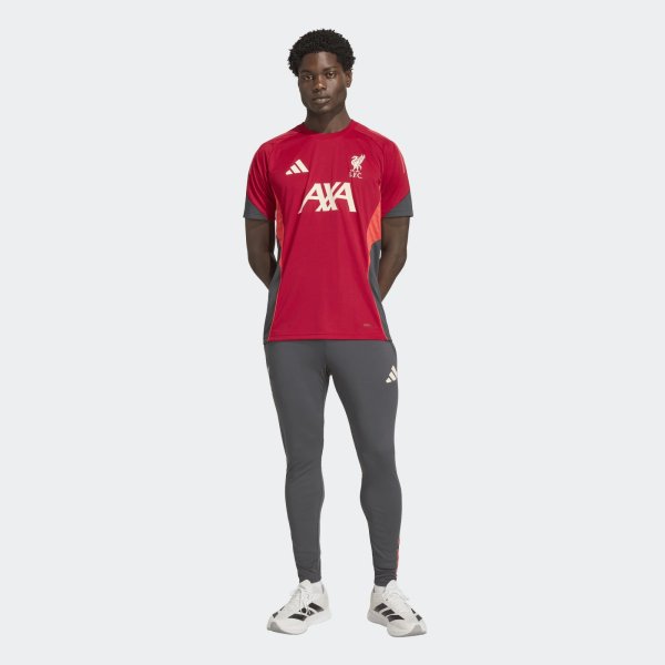 Pánské tepláky adidas LFC TR PNT - foto 3