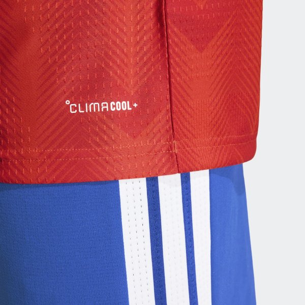 Pánský dres adidas ANFP H JSY AU - foto 7