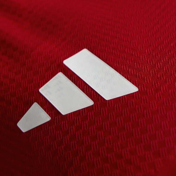 Pánský dres adidas ANFP H JSY AU - foto 15