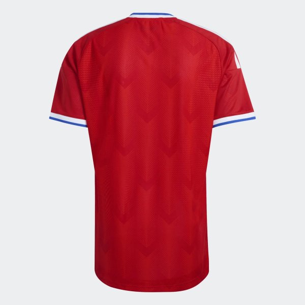 Pánský dres adidas ANFP H JSY AU - foto 1