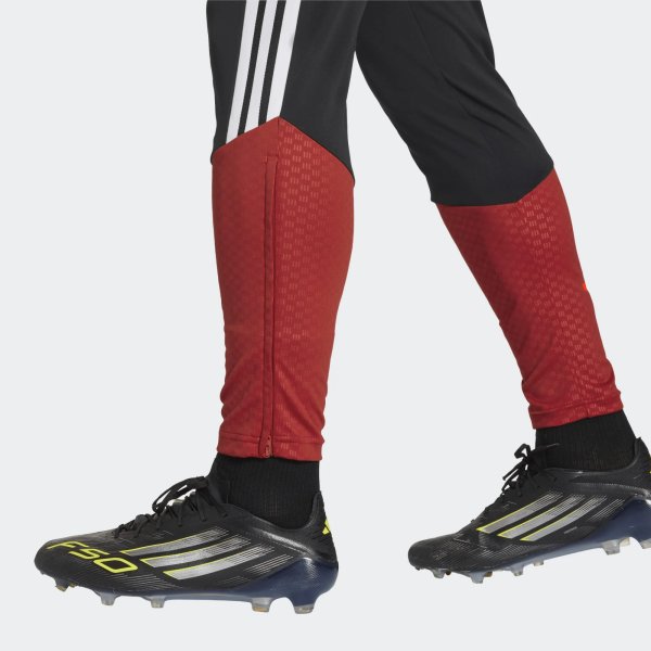 Pánské tepláky adidas DFB TR PNT - foto 4