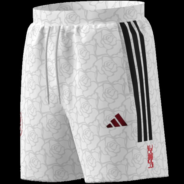 Pánské šortky adidas LY HOT WV SH - foto 14