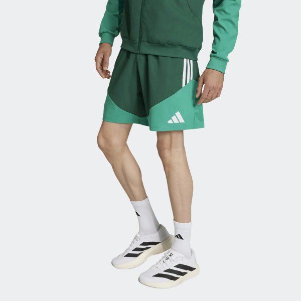 Pánské šortky adidas FAF DT SHO - foto 1