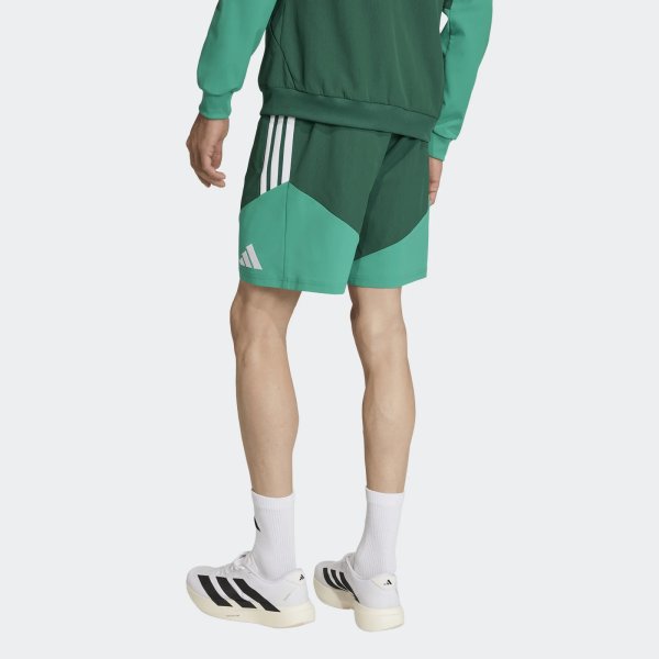 Pánské šortky adidas FAF DT SHO - foto 2