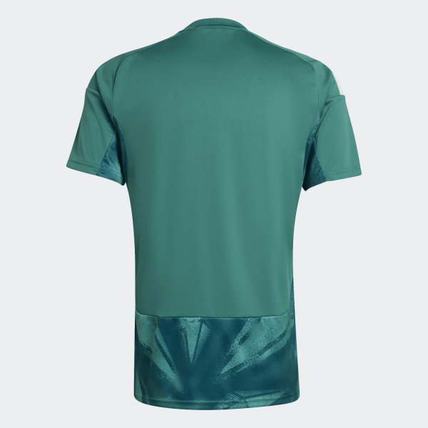 Pánský dres adidas DFB H GK JSY - foto 1