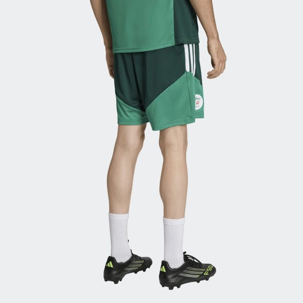 Pánské šortky adidas FAF TR SHO - foto 2