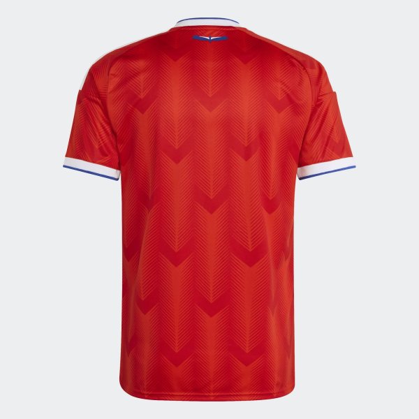 Pánský dres adidas ANFP H JSY - foto 1