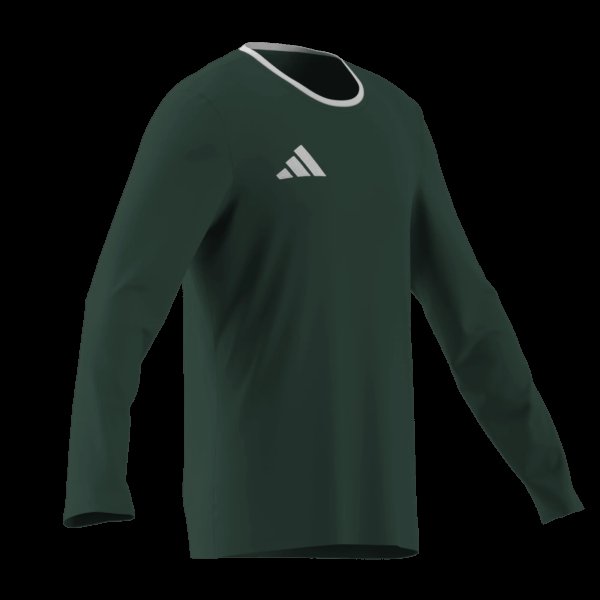 Pánský dres adidas ENT26 JSY LS - foto 9
