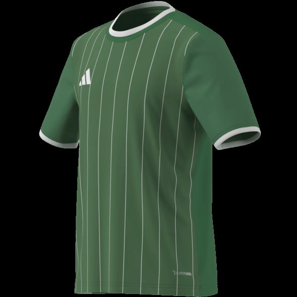Dětský dres adidas ENT26 GFX JSY Y - foto 13