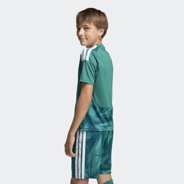 Dětský dres adidas DFB H GK JSY Y - foto 3