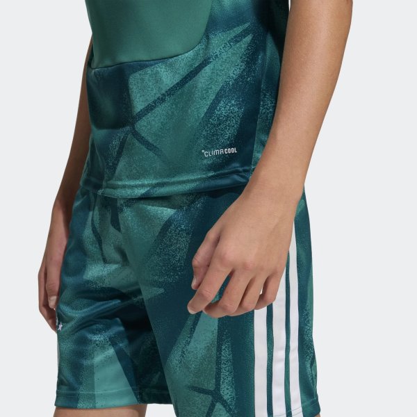 Dětský dres adidas DFB H GK JSY Y - foto 6