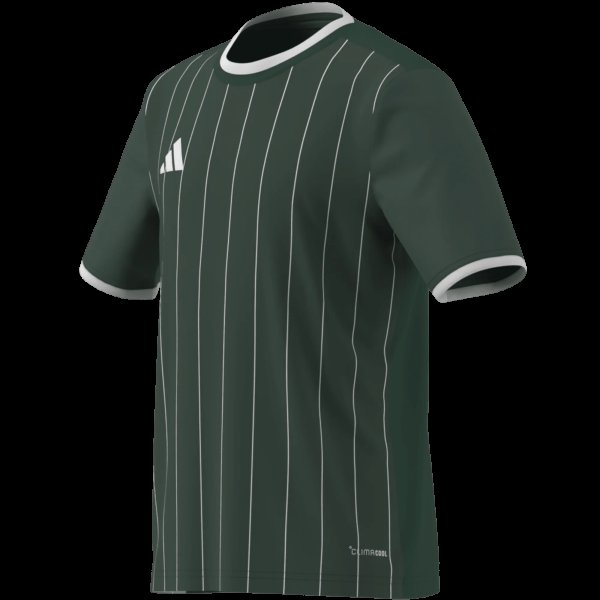 Dětský dres adidas ENT26 GFX JSY Y - foto 13