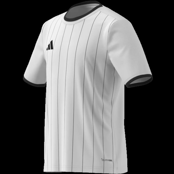 Dětský dres adidas ENT26 GFX JSY Y - foto 13