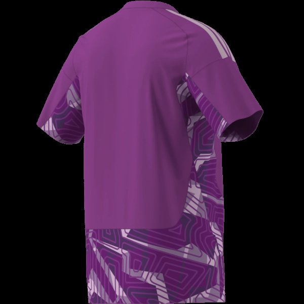 Pánský dres adidas T26 C GK JSY M - foto 10