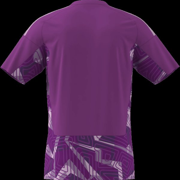 Pánský dres adidas T26 C GK JSY M - foto 11