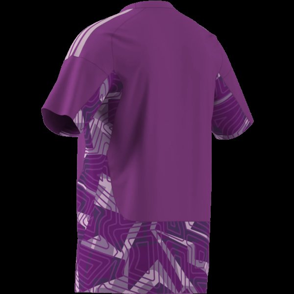 Pánský dres adidas T26 C GK JSY M - foto 12