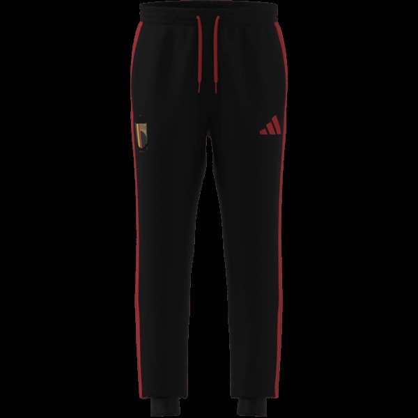 Pánské tepláky adidas RBFA DNA PNT - foto 7