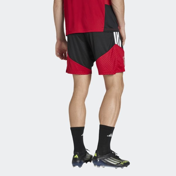 Pánské šortky adidas DFB TR SHO - foto 2