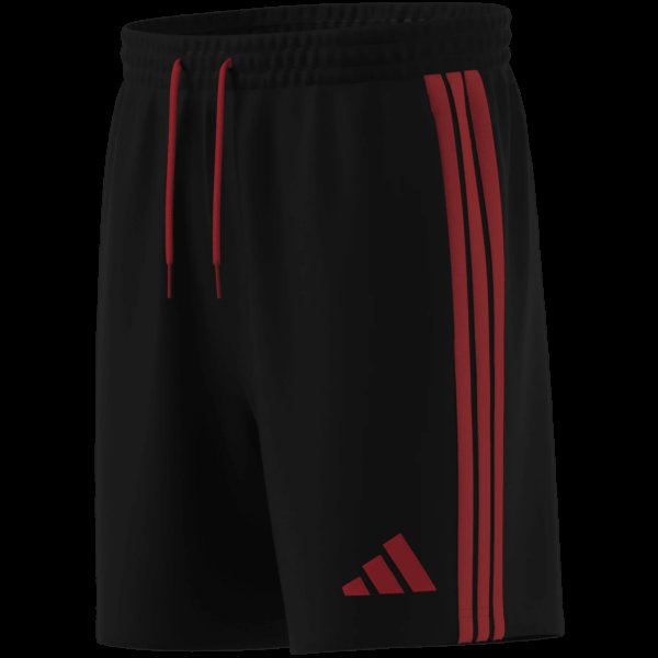 Pánské šortky adidas RBFA DNA SHO - foto 14