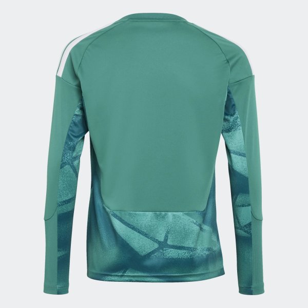 Dětský dres adidas DFB H GK JSY LY - foto 1