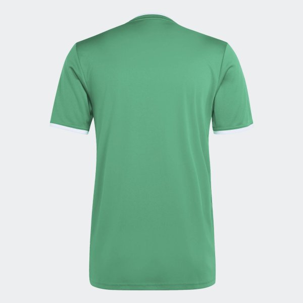 Pánský dres adidas ENT26 GFX JSY - foto 1