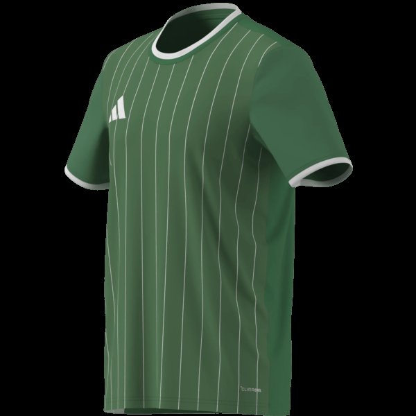 Pánský dres adidas ENT26 GFX JSY - foto 15