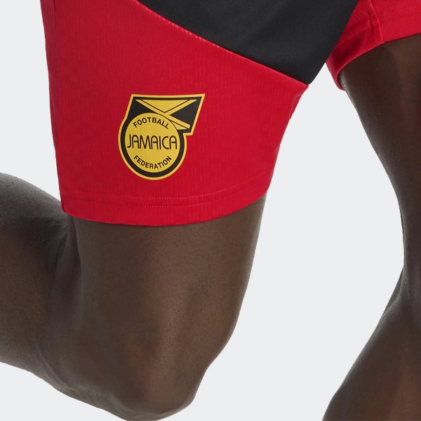 Pánské šortky adidas JFF  TR SHO - foto 6