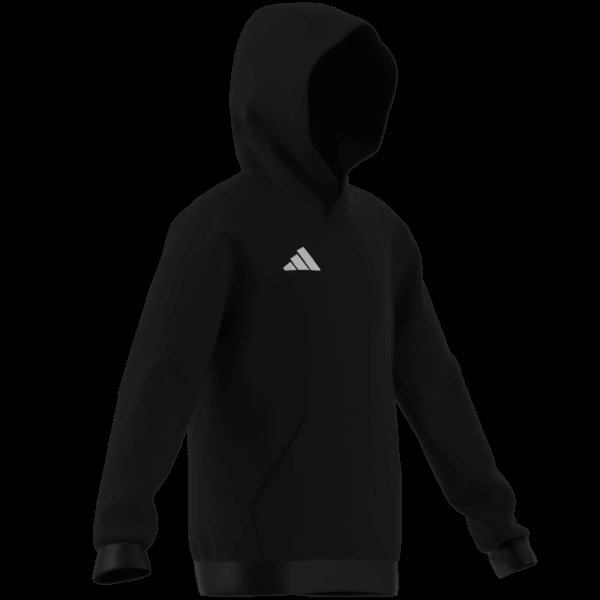 Dětská mikina adidas ENT26 HOODY Y - foto 9