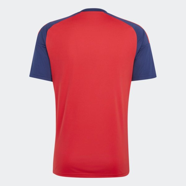 Pánský dres adidas RFEF H JSY FAN - foto 1
