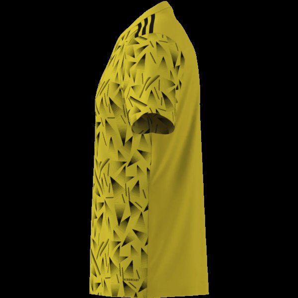 Pánský dres adidas T ICON25 JSY M - foto 15
