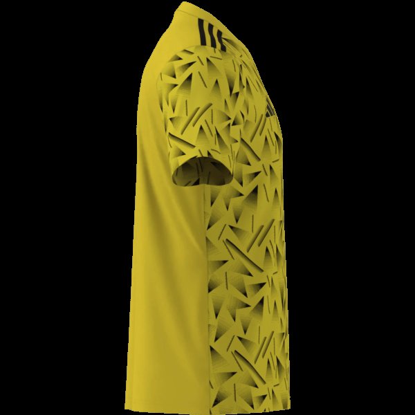 Pánský dres adidas T ICON25 JSY M - foto 11